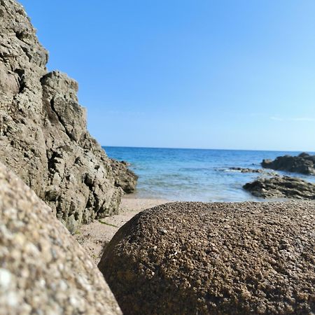 Le 3 Appartement Vue Mer Avec Jardin 100M De La Plage Et De La Thalasso Concarneau Exterior foto