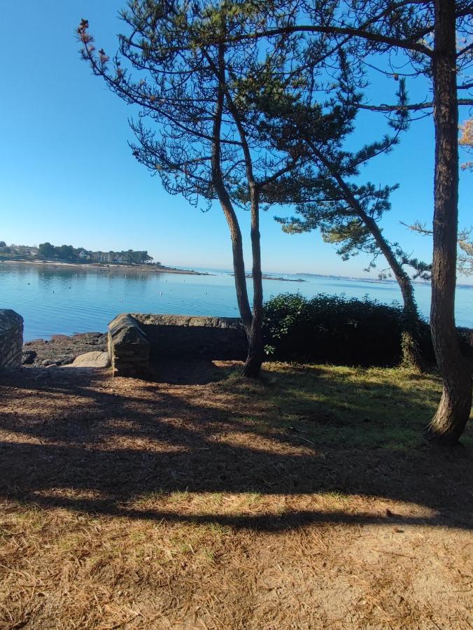 Le 3 Appartement Vue Mer Avec Jardin 100M De La Plage Et De La Thalasso Concarneau Exterior foto